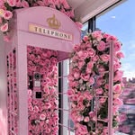 𝐑𝐎𝐘𝐀𝐋 𝐁𝐄𝐀𝐔𝐓𝐘 𝐒𝐓𝐔𝐃𝐈𝐎