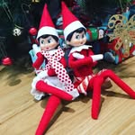 Coco The Elf