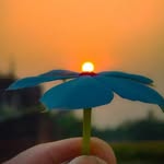 Woww Clicks