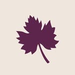 Explore Rutherglen