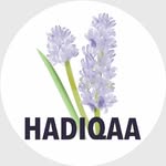 Hadiqaa - Middle East