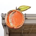 The Peached Tortilla