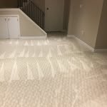 carpet_obsessed