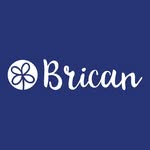 Brican English for Working Adults