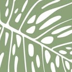 Flora Folia