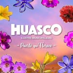 Municipalidad de Huasco