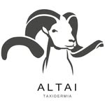 ALTAI TAXIDERMIA