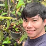 Sunya Nuanlaong — Krabi Carnivores