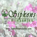 Sipkens Nurseries