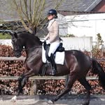 M. Kleinjan • Nordiek Dressage