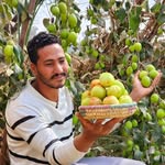 محمد عبد الحافظ sidra_egypt