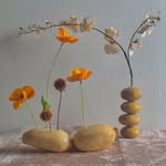 stardust.trinket