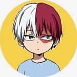 Shoto Le Bipolaire 🔥❄️