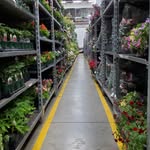 UFG Flower Auction