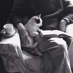 having a poem with you