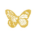 Beast & Butterflies AKL