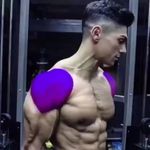 Bodybuilding | Gym | Fitness