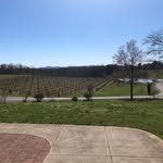 Stony Knoll Vineyards