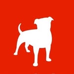 Life At Zynga