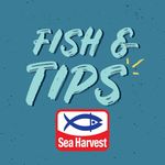 Fish n Tips by Sea Harvest