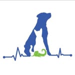 Cardiologia y Ecografia Vet.