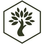 Olive Wellness Institute