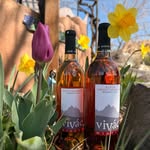 Vivac Winery