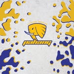 Majlis Sukan Pahang
