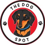 Professional Pet Sitter Services