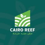 Cairo Reef