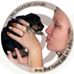 Lake Mountain Doodle LLC | Heather Heywood