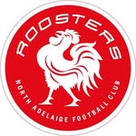 North Adelaide Football Club