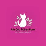Ash Cats Sitting Home