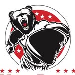Ursu Denis Boxe Academy