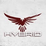 Hybrid Realm