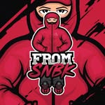 TIENDA ONLINE DE SNEAKERS