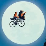 BAM! Bicycle Adventure Meeting