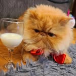 Aryobarzan the Brave & Cyrus the Great