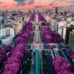Travel Buenos Aires 🇦🇷