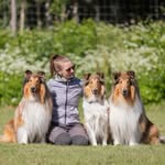 KODA, KELMI & TELLU