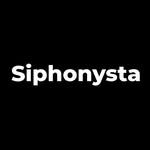 Siphonysta