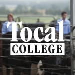 Tocal College