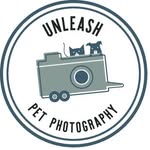 Pet Photographer, Animal Photographer, Dog Photographer