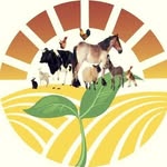 کشاورزی و دامداری