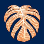 The Jungle Club Plant Shop