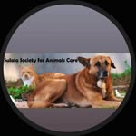 Sulala Animal Rescue