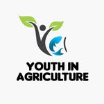 Youth and Women In Agriculture