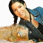 daden Reptilera
