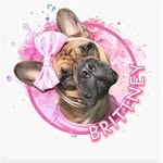BRITTNEY 🎀 French Bulldog