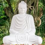 如實知見  knowing and seeing the truth